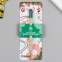Растущие подарочные карандаши mini "Сосна"