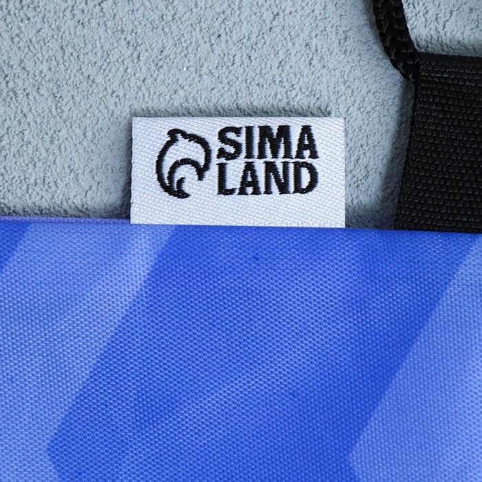 Мешок для обуви &laquo;Очаровательный щенок&raquo; болоньевый материал, 30 х 40 см