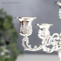 Подсвечник металл на 5 свечей "Розовый вечер" цвет серебро 20,5х21х21 см Подсвечник металл на 5 свечей "Розовый вечер" цвет серебро 20,5х21х21 см