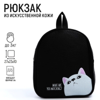 Рюкзак из искусственной кожи &laquo;What are you watching?&raquo; 27х23*10 см
