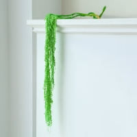 Сухие цветы амаранта, 100 г, размер листа: от 50 до 60 см, цвет зелёный Сухие цветы амаранта, 100 г, размер листа: от 50 до 60 см, цвет зелёный