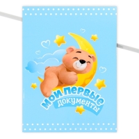 Папка для свидетельства о рождении &laquo;Мои первые документы&raquo;, А4.