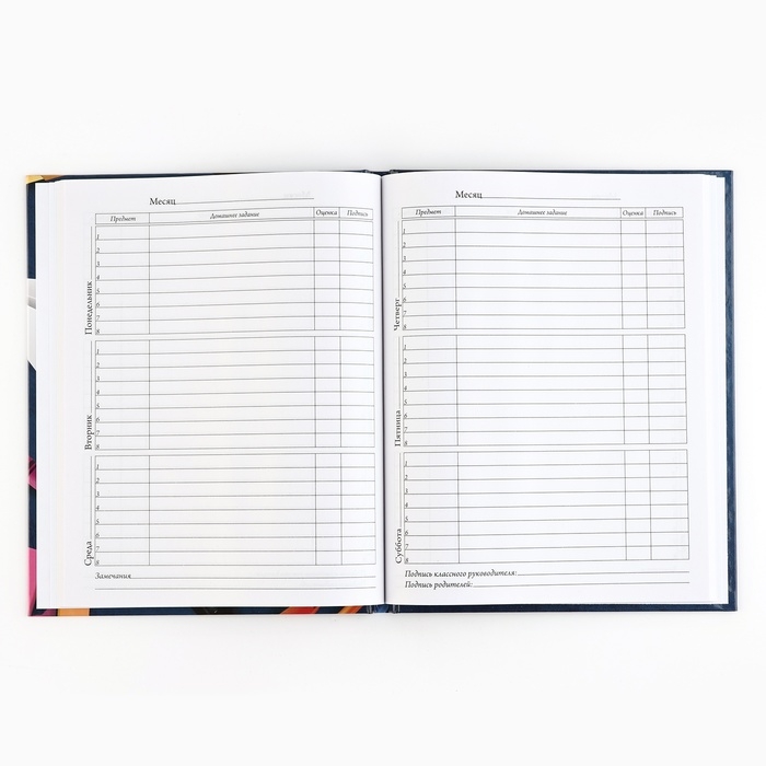 Дневник школьный 5-11 класс, в твердой обложке, 48 л. &laquo;Школьные принадлежности&raquo;