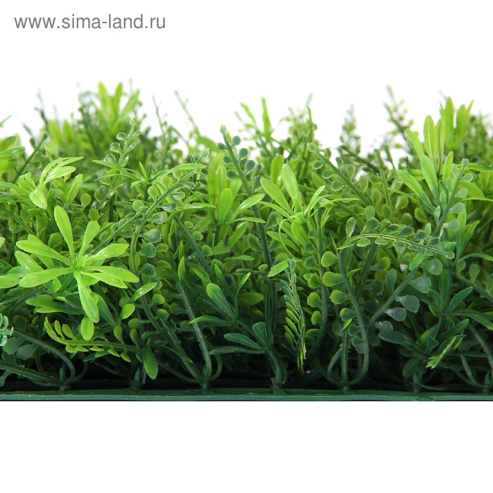 Декоративная панель, 40 × 60 см, «Разнотравье», Greengo Декоративная панель, 40 × 60 см, «Разнотравье», Greengo