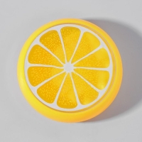 Лизун «Фрукты», твёрдый, виды МИКС Лизун «Фрукты», твёрдый, виды МИКС