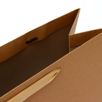 Пакет ламинированный горизонтальный &laquo;Крафт&raquo;, L 40 &times; 31 &times; 14 см