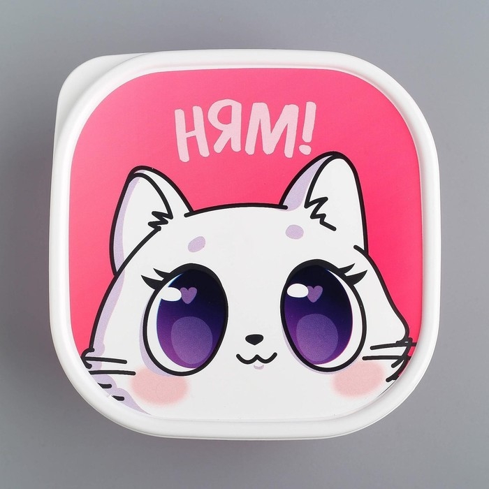 Ланч-бокс «Котик», 700 мл Ланч-бокс «Котик», 700 мл