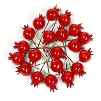 Набор штекеров "Гранат" 20шт, 4х3см Набор штекеров "Гранат" 20шт, 4х3см