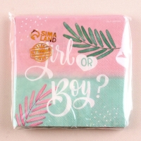 Гендер-пати. Салфетки бумажные &laquo;Girl or Boy&raquo;, 25х25см, набор 20 шт.