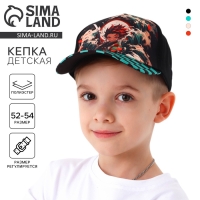 Кепка детская для мальчика &laquo;Волны&raquo;, аниме, цвет чёрный, р-р 52-54, 5-7 лет