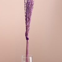 Набор сухоцветов "Райграс", банч 21 шт, длина 60 (+/- 6 см), сиреневый