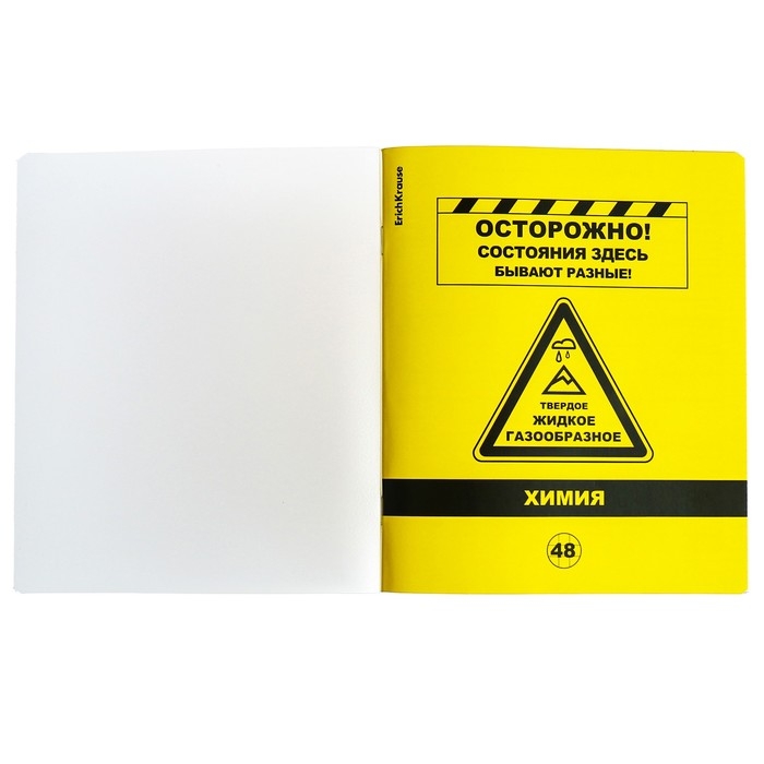 Тетрадь предметная ХИМИЯ, 48 листов в клетку, ErichKrause Be Informed, пластиковая обложка, шелкография, блок офсет 100% белизна, инфо-блок