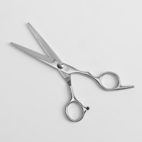 Ножницы парикмахерские с упором, лезвие — 6 см, цвет серебристый Ножницы парикмахерские с упором, лезвие — 6 см, цвет серебристый