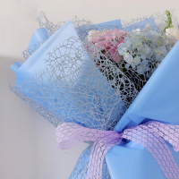 Сетка для цветов "Крошет", лавандовый, 0,5 х 4,5 м Сетка для цветов "Крошет", лавандовый, 0,5 х 4,5 м