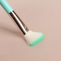 Набор кистей для макияжа, 7 предметов, цвет бирюзовый Набор кистей для макияжа, 7 предметов, цвет бирюзовый