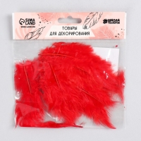 Набор перьев для декора 10 шт., размер 1 шт: 10 × 2 см, цвет красный Набор перьев для декора 10 шт., размер 1 шт: 10 × 2 см, цвет красный