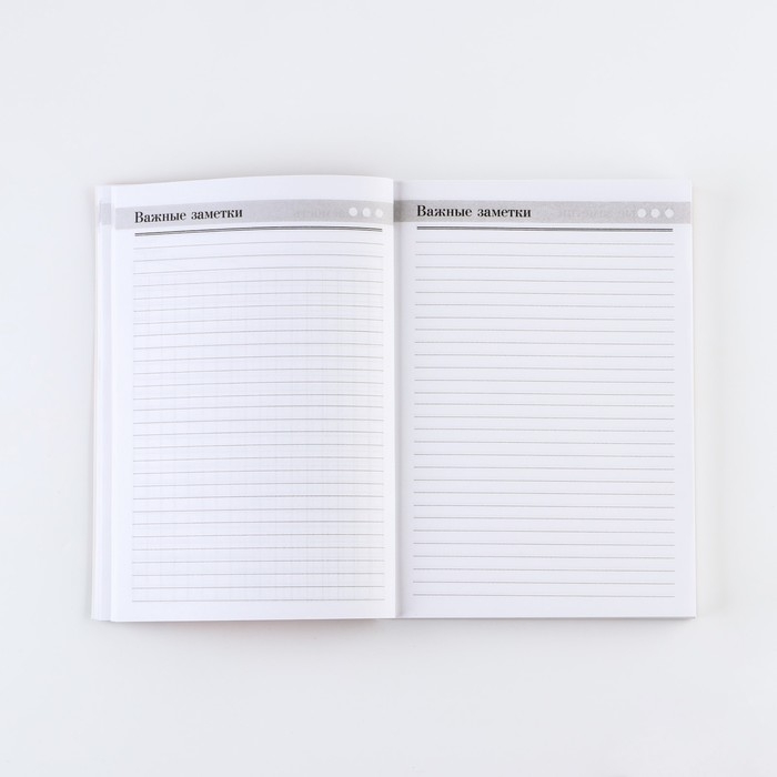 Ежедневник &laquo;Золотому учителю&raquo;, формат А5, 160 листов, мягкая обложка