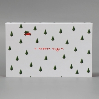 Коробка‒книга &laquo;Волшебной сказки&raquo;, 20 х 12.5 х 5 см, Новый год