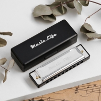 Губная гармошка Music Life, диатоническая, C-major, с футляром, серебристая Губная гармошка Music Life, диатоническая, C-major, с футляром, серебристая