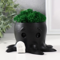 Кашпо бетонное "Осминог" высота 7 см, d-6,5 см черный с белой лапкой со мхом (мох зел,стаб) Кашпо бетонное "Осминог" высота 7 см, d-6,5 см черный с белой лапкой со мхом (мох зел,стаб)