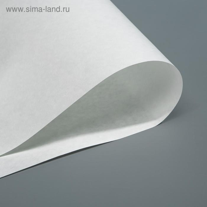 Бумага фильтровальная ФС-3 средней фильтрации, 75 гр/м2, 520х640 мм, пачка 10 кг Бумага фильтровальная ФС-3 средней фильтрации, 75 гр/м2, 520х640 мм, пачка 10 кг