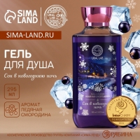Гель для душа URAL LAB &laquo;Сон&raquo;, 295 мл, аромат смородины, Новый Год