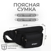 Сумка поясная на молнии, 2 наружных кармана, цвет чёрный Сумка поясная на молнии, 2 наружных кармана, цвет чёрный