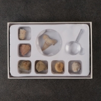 Набор "Аммониты" Набор "Аммониты"