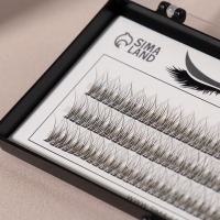 Набор накладных ресниц &laquo;Ласточкин хвост&raquo;, пучки, 10 мм, толщина 0,07 мм, изгиб С, 12 D