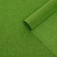 Бумага гофрированная, 991 "Зелёный лист", 50 см х 2,5 м Бумага гофрированная, 991 "Зелёный лист", 50 см х 2,5 м