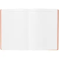 Ежедневник Flexpen, недатированный, серебристо-оранжевый Ежедневник Flexpen, недатированный, серебристо-оранжевый