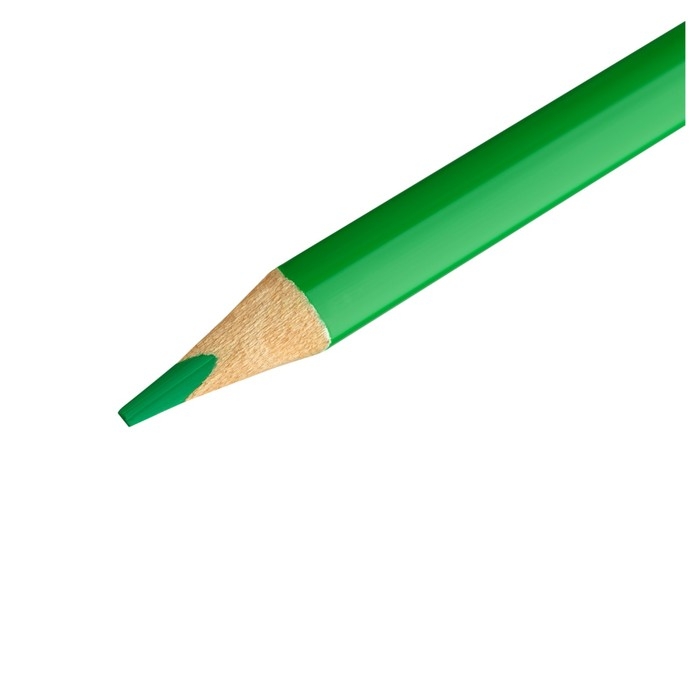 Карандаши 24 цвета Мульти-Пульти Карандаши 24 цвета Мульти-Пульти "Друзья енота", трёхгранные, заточенные, в тубусе