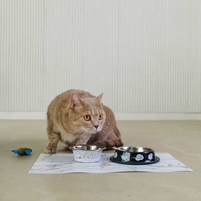 Миска металлическая для кошки с нескользящим основанием &laquo;Я хочу кушать&raquo;, 235 мл, 15х3.5 см