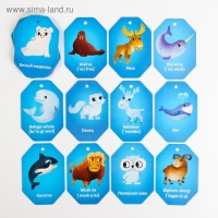 Карточки на кольце для изучения английского языка &laquo;Животные полюсов&raquo;, 20 карт, кольцо, 3+