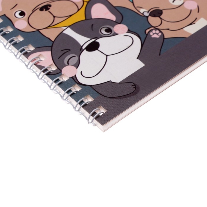 Альбом для рисования А5, 32 листа на гребне "Друзья", обложка мелованный картон, блок 100 г/м&sup2;