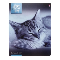 Тетрадь 48 листов в клетку "Котята мур-мур", обложка мелованный картон, гибридный лак, фольга, МИКС Тетрадь 48 листов в клетку "Котята мур-мур", обложка мелованный картон, гибридный лак, фольга, МИКС