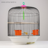 Клетка для птиц круглая, двухъярусная сварная, большой поддон, 39 x 44 см, микс цветов Клетка для птиц круглая, двухъярусная сварная, большой поддон, 39 x 44 см, микс цветов