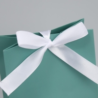 Пакет подарочный с лентой, упаковка, &laquo;Тиффани&raquo;, 13 х 19 х 9 см