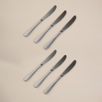 Набор столовых приборов из нержавеющей стали &laquo;Классик&raquo;, 24 предмета, в коробке, цвет серебряный