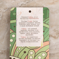 Свеча магическая медовая с диким сафлором для восстановления энергии «Salamandra», 12 штук Свеча магическая медовая с диким сафлором для восстановления энергии «Salamandra», 12 штук