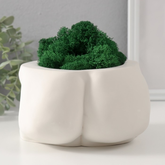 Кашпо бетонное "Достоинство" со мхом высота 10 см,ширина 17 см белый (мох зеленый стабилиз)