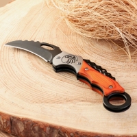 Нож складной "Феникс" 16см, клинок 60мм/2мм, с кольцом Нож складной "Феникс" 16см, клинок 60мм/2мм, с кольцом