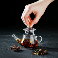 Чайник заварочный &laquo;Дамбо&raquo;, 100 мл, стекло, с металлическим ситом, прозрачный