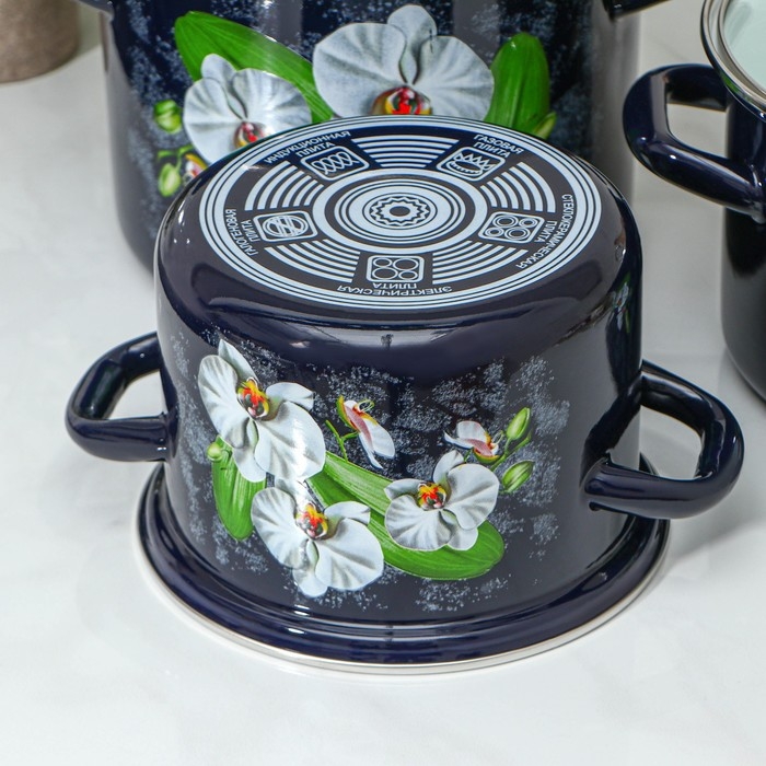 Набор эмалированных кастрюль &laquo;Ванда&raquo;, 3 предмета: 2.4 л, 3.4 л, 5 л, индукция