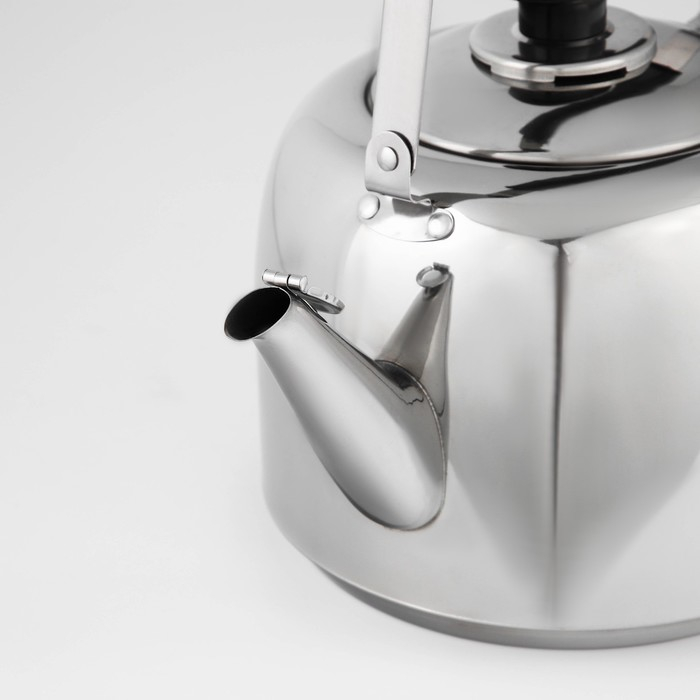 Чайник из нержавеющей стали, 5 л, капсульное дно, индукция