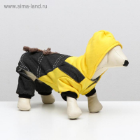 Комбинезон &laquo;Мишка&raquo;, M (ДС 28 см, ОШ 30 см, ОГ 38 см)