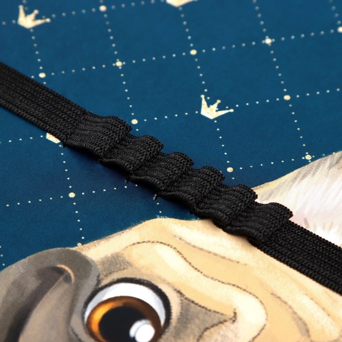 Папка для труда А4, 325 х 230 х 25 мм, молния вокруг, откидная планка, пластиковая, ПТР-1, Calligrata Папка для труда А4, 325 х 230 х 25 мм, молния вокруг, откидная планка, пластиковая, ПТР-1, Calligrata "Бульдожка"