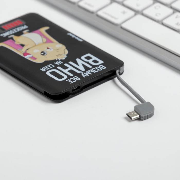 Зарядное устройство &laquo;Возьму все вино на себя&raquo;, 2500 mAh, 6 х 9,5 см