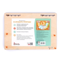 Обучающая доска &laquo;Календарь природы&raquo;
