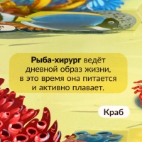 Энциклопедия-панорамка POP UP &laquo;Море&raquo;